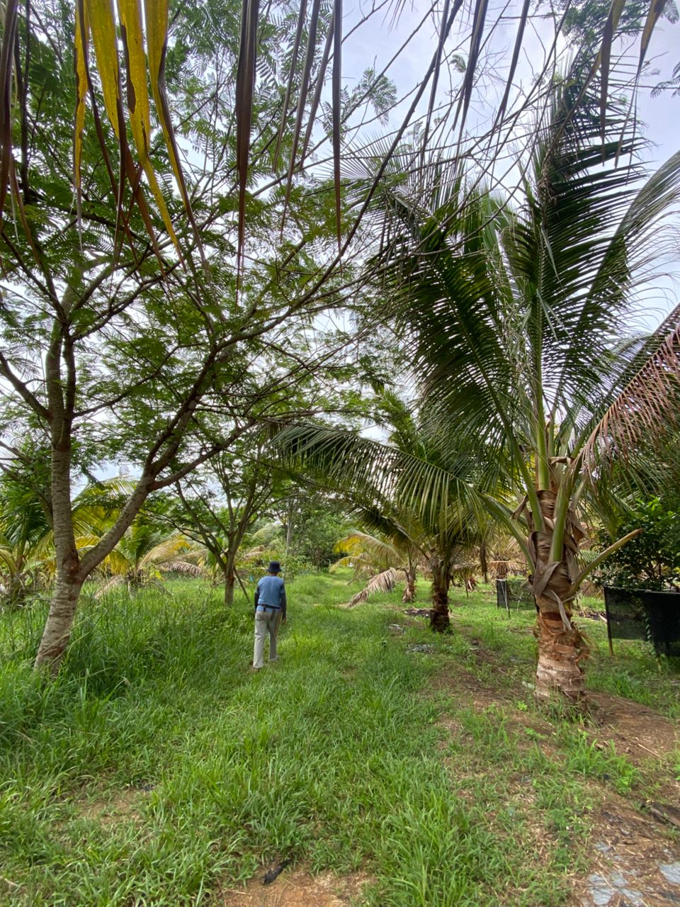 Taman Hakmiliki Kekal AFamosa Melaka